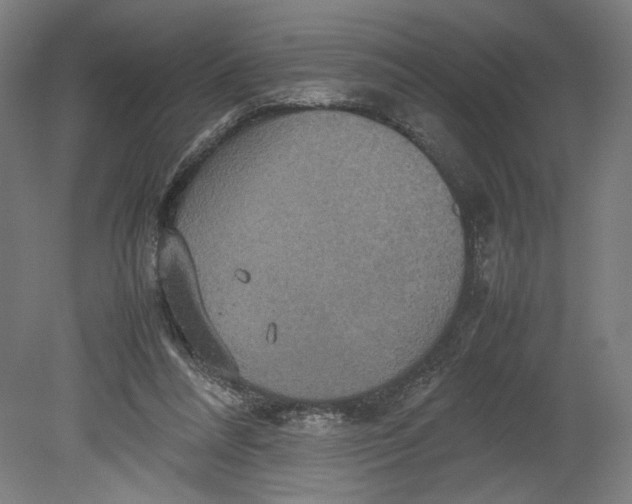 X0000080660304200701050949