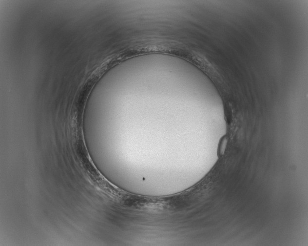 X0000080660306200701050949