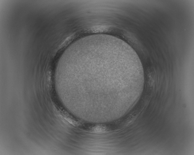 X0000080660308200701050949