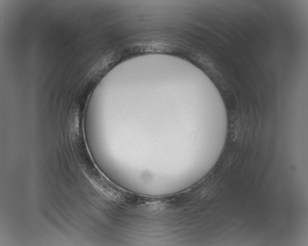 X0000080660310200701050949