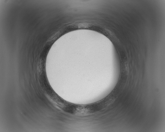 X0000080660311200701050949