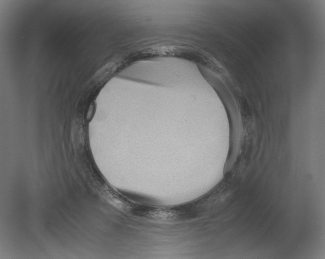 X0000080660313200701050949