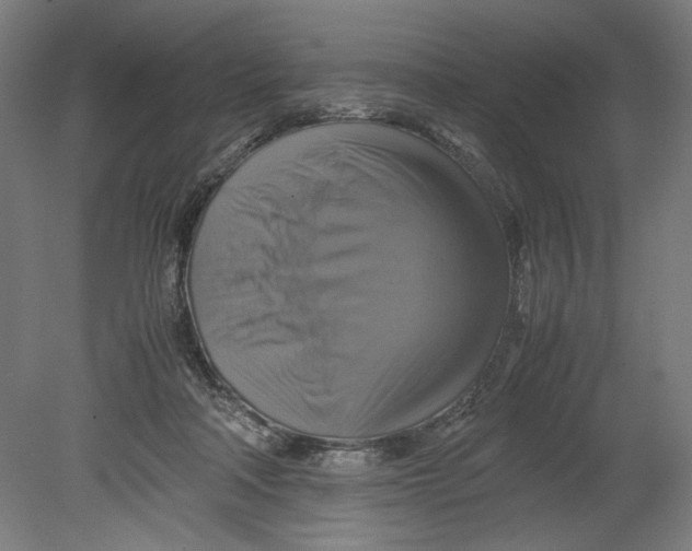 X0000080660314200701050949