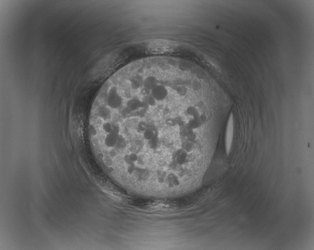 X0000080660315200701050949