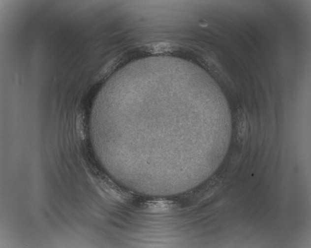 X0000080660316200701050949