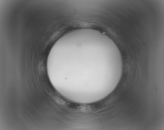 X0000080660317200701050949