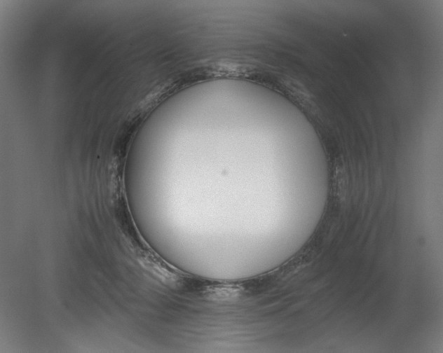 X0000080660318200701050949