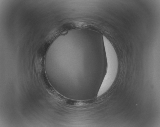 X0000080660319200701050949