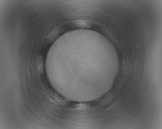 X0000080660320200701050949