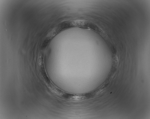 X0000080660323200701050949