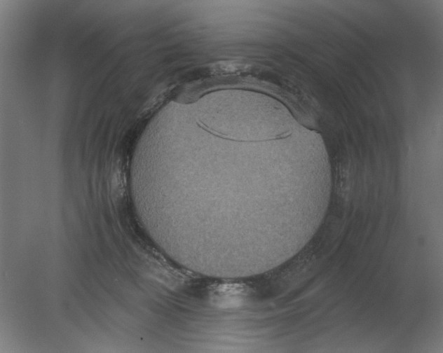 X0000080660324200701050949