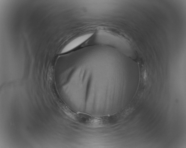 X0000080660325200701050949