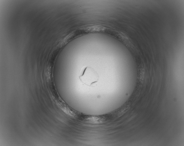 X0000080660326200701050949