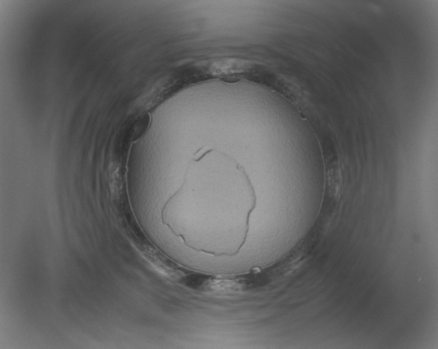 X0000080660327200701050949