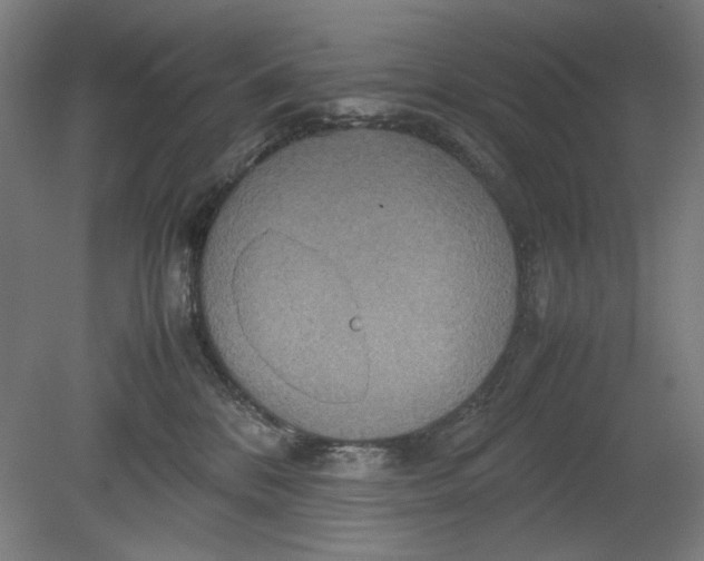 X0000080660328200701050949