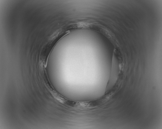 X0000080660329200701050949