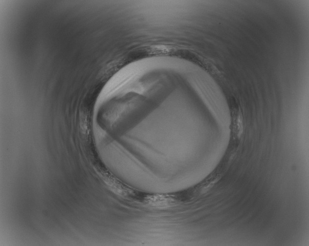 X0000080660331200701050949