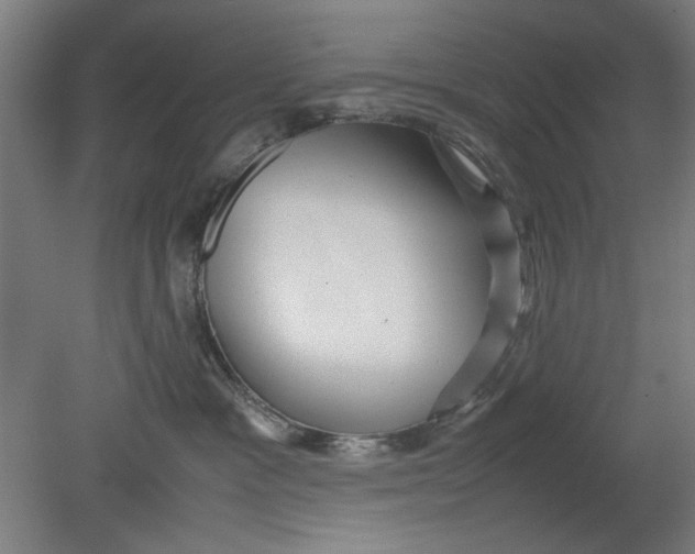 X0000080660333200701050949