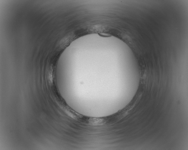 X0000080660334200701050949