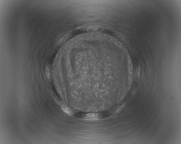 X0000080660335200701050949