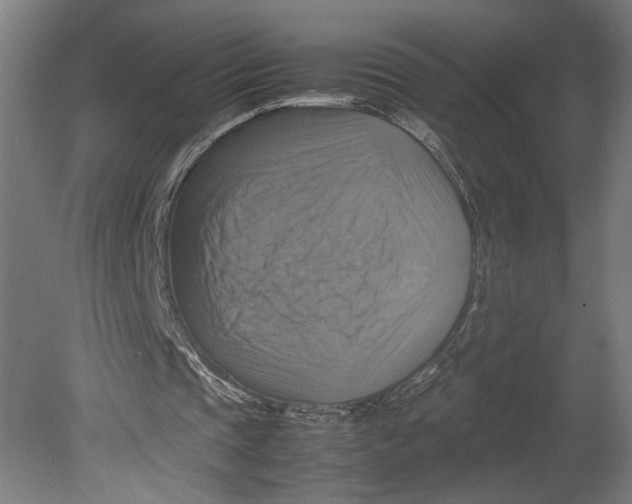 X0000080660337200701050948