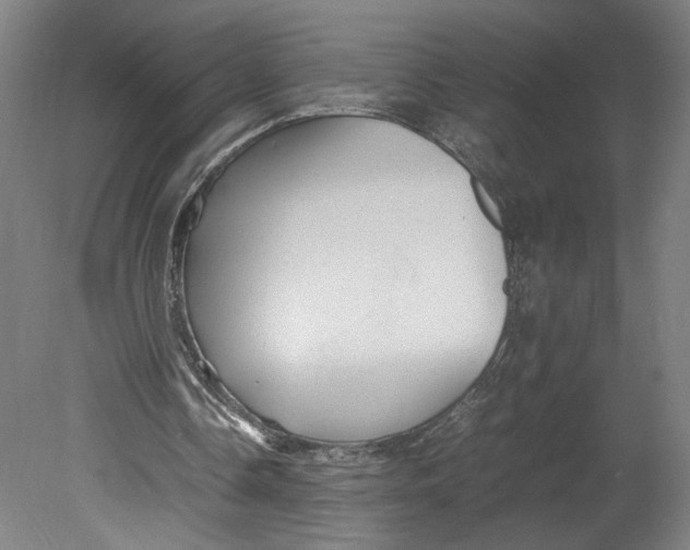 X0000080660338200701050948