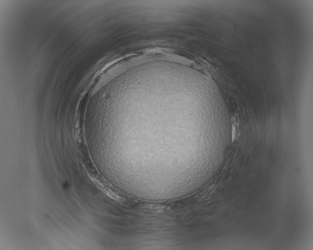 X0000080660339200701050948