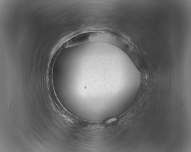 X0000080660340200701050948