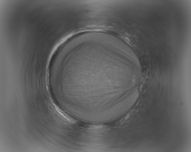 X0000080660342200701050948