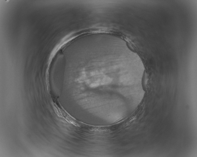 X0000080660343200701050948