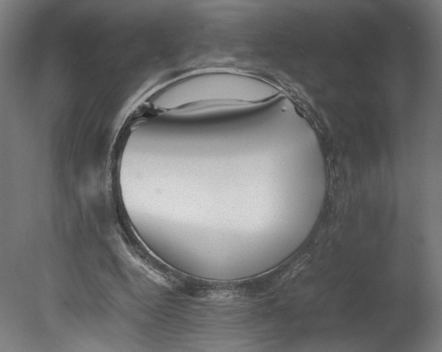 X0000080660344200701050948