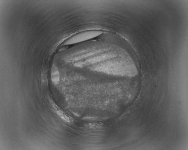 X0000080660345200701050948