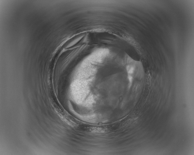 X0000080660347200701050948