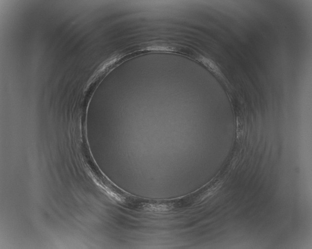 X0000080660349200701050948