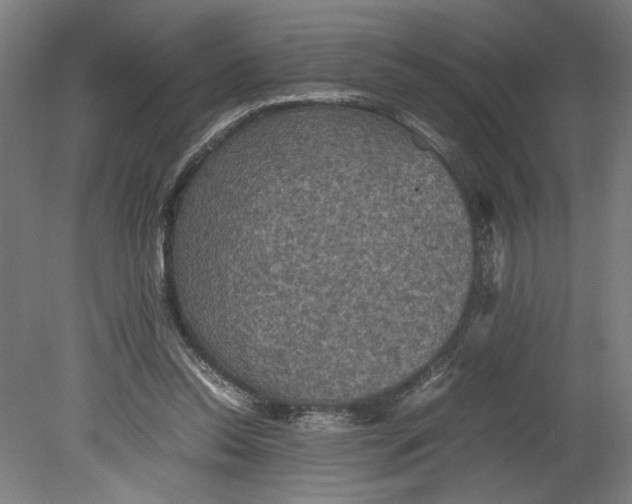 X0000080660350200701050948