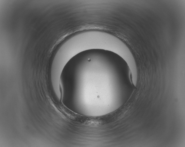 X0000080660352200701050948