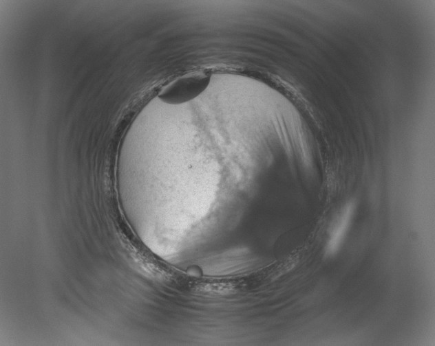 X0000080660353200701050948