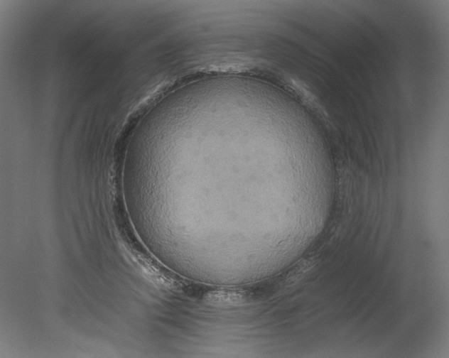 X0000080660354200701050948