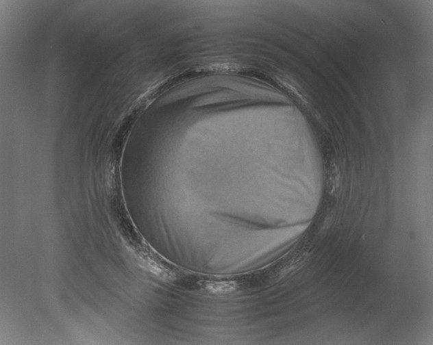 X0000080660355200701050948