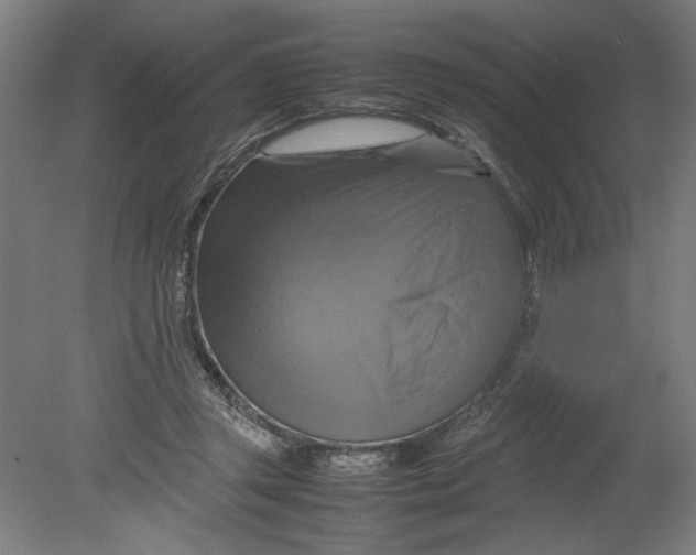 X0000080660357200701050948