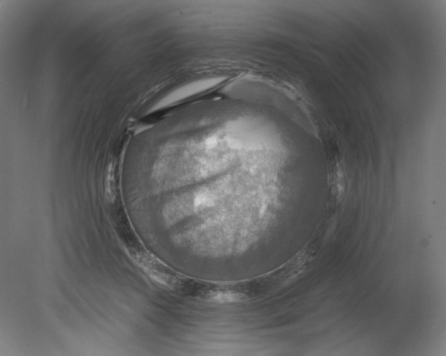 X0000080660360200701050948