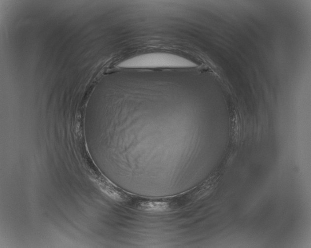 X0000080660361200701050948