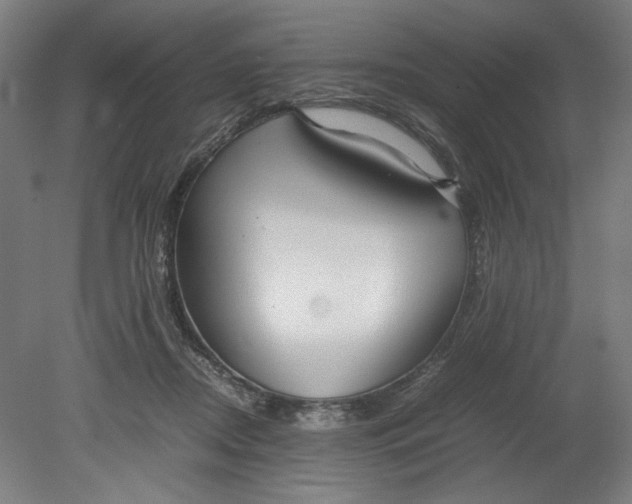 X0000080660362200701050949