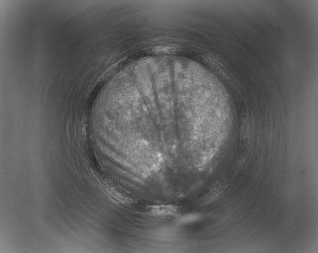 X0000080660363200701050949