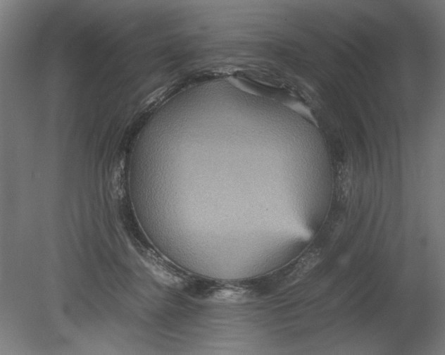 X0000080660364200701050949