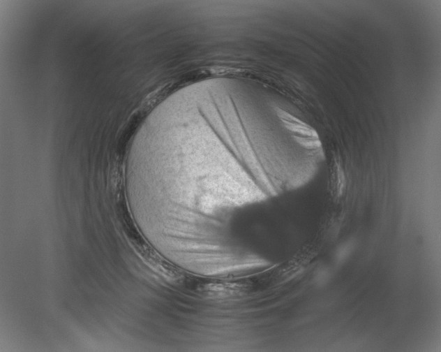 X0000080660367200701050949