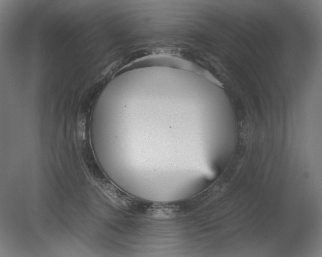 X0000080660368200701050949