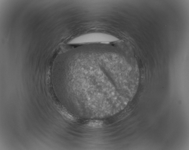 X0000080660369200701050949