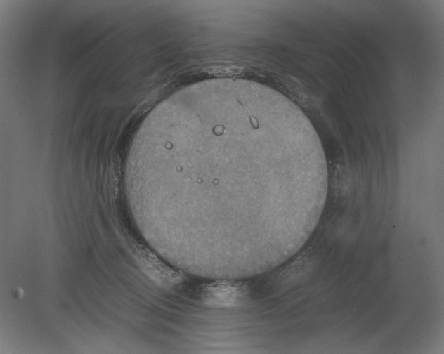 X0000080660370200701050949