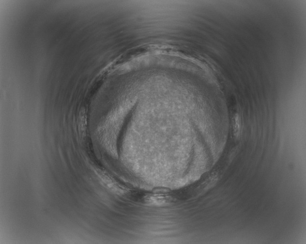 X0000080660372200701050949